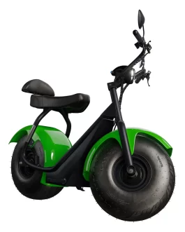 Scooter Elétrica Tui Mais 2 Lugares 1000W 60Km Autonomia – Cor Verde